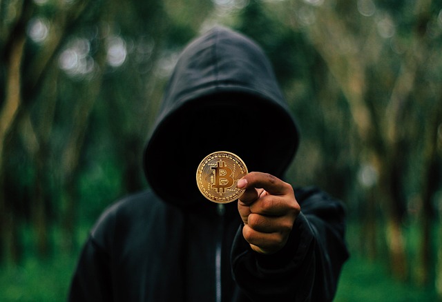bitcoin, coin, hoodie