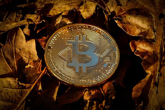 bitcoin, currency, finance
